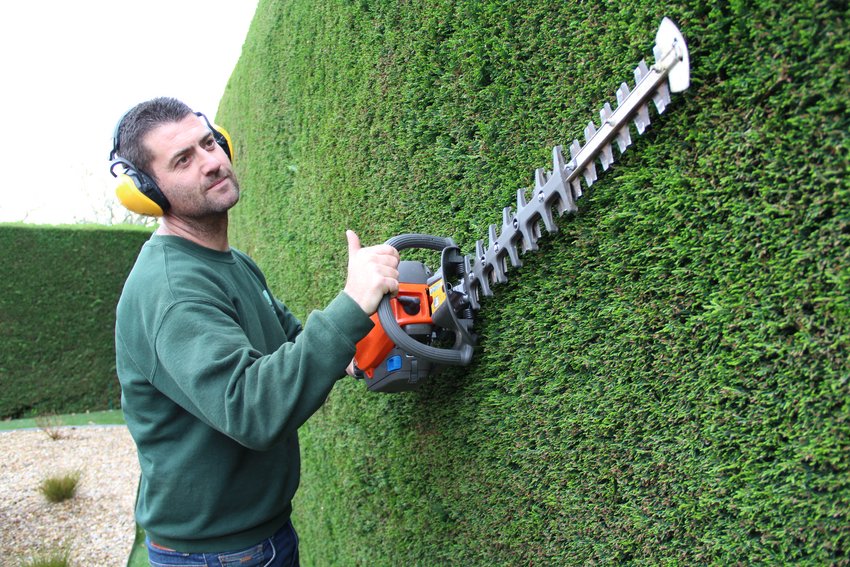 entretien jardin